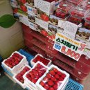 영림식자재마트 이미지