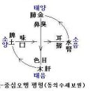 오행식품