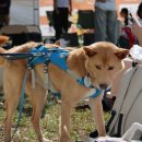 콩이/4살/남아 이미지