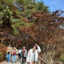 함평군사회복지협의회 | 2025.11월 한국열린사이버대학교 사회복지학과 특임교수협의회 임원워크숍을 다녀와서