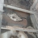 광천축산 이미지