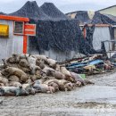 용주축산 이미지