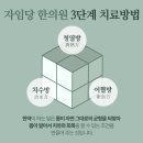 자임당한의원 명동점 이미지
