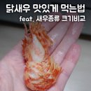 닭새우 맛있게 먹는 방법 / 닭새우 vs 블랙타이거 극과극의 새우크기 비교