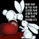 60세 이상은 꼭 정독하세요 김치의 놀라운 효능! 이미지