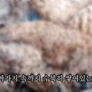 이정화농장 이미지