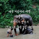[태국여행] 코끼리 러버 여기 모여봐? 3일차 여정🇹🇭