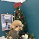 홀리몰리살롱 이미지