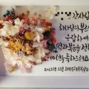 해빛1로 이미지
