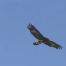 빛좋은태양광발전소 이미지