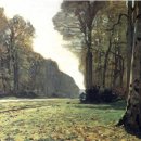 숲(Forest) 이미지