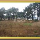 송지펜션 이미지