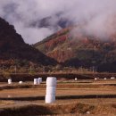 양양군노인복지관 이미지