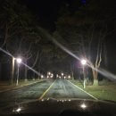 더라운드 | 좋았던 캐디와 다시 만난 골프라운드 후기 - 더 시에나 CC 제주