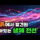 진흙 속에서 발견된 살아있는 생체 전선? 최초의 생체 MOF(유기-금속 골격체)의 가능성! 이미지