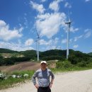 곰치농장 이미지