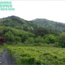 안성면116 이미지