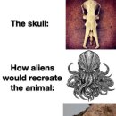 숲속작은개울 이미지