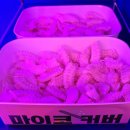 뒤풀이 노래연습장 | 논현역 최첨단 코인노래방 추천 판타스틱 코인노래방 논현역점