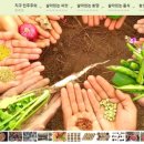 조선모밀