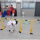 태비태권도 이미지