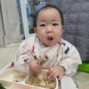 레몬 | 9-10개월 레몬이 후기이유식 (+자기주도식 BLW)