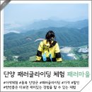 김종민카써비스 | 단양 패러글라이딩 가격 1박2일 촬영지 패러마을 체험 후기