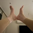 내츄럴파머 이미지