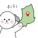 카페똑똑