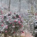 가락관광호텔레스토랑 이미지