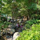 계곡맑은하늘펜션 이미지