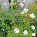 고덕로 79길 이미지