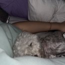 구조라해수욕장(중앙) 이미지