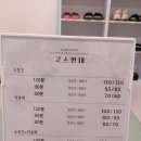 바디밸런스테라피 네이버블로그