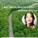 비전환경 경인신문