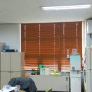 천안 블라인드, 천안 커튼 공주대 산학협력관 사무실 오동나무 우드 블라인드로 분위기 쇄신!