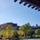 케이메세