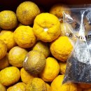 진자농장 이미지