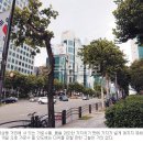 가로수 - 금정구 | 가로수