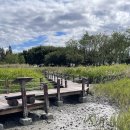 갯골생태공원(소금창고) 이미지