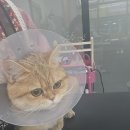 몽글몽글 이미지