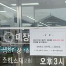 양재시장 | [양재꽃시장] 수요일 방문 후기 (위치, 시간, 주차, 가는법)