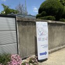 주식회사 견생상점 | 대전 동구 ‘아트사이트 소제’ 곰돌이 푸 100주년 기념 푸크닉 팝업 스토어 티셔츠만들기 대형 푸...