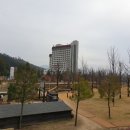 플로라룸