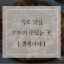나만의 일러스트 | 내돈내산｜갯배피자｜속초 피자 맛집, 주차정보, 영업시간