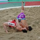 ㈜부산갈매기 이미지