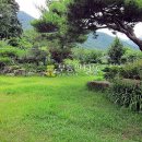 신기서길 이미지