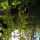 중흥2동 행정복지센터 이미지