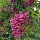 태웅농장 이미지