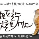 메인쿤 하우스 네이버블로그